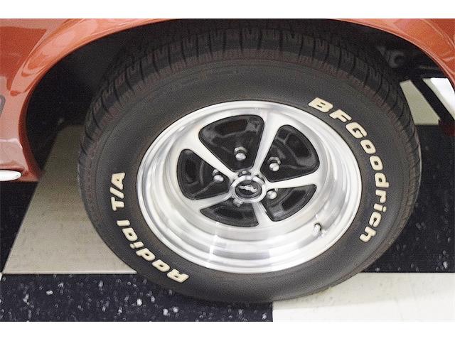 1969 Ford Mustang Mach 1 (CC-1756080) for sale in Fredericksburg, Virginia