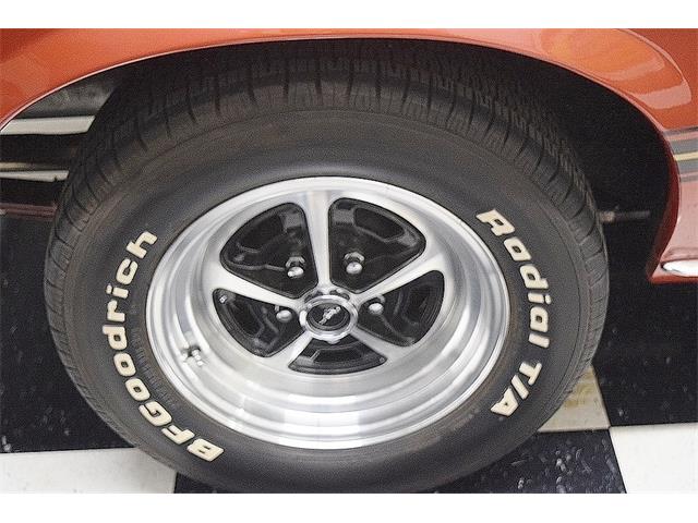 1969 Ford Mustang Mach 1 (CC-1756080) for sale in Fredericksburg, Virginia