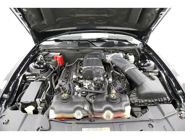 2014 Ford Mustang (CC-1750612) for sale in Morgantown, Pennsylvania