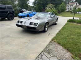 1979 Pontiac Firebird (CC-1756302) for sale in Cadillac, Michigan