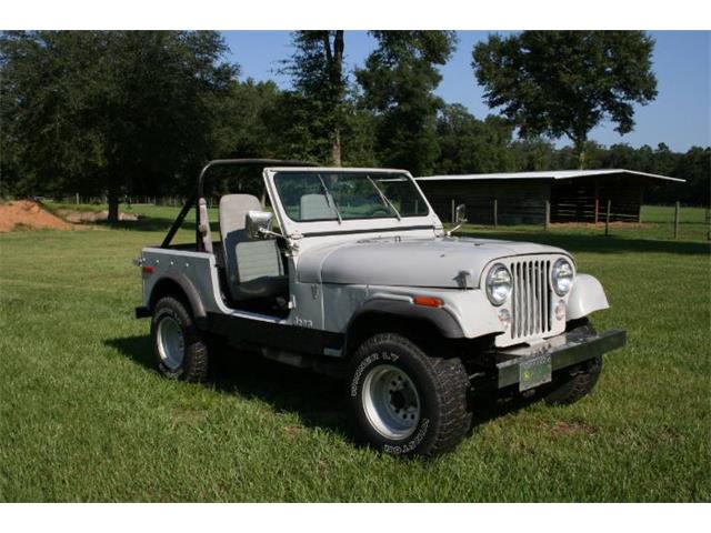 1978 Jeep CJ5 (CC-1756307) for sale in Cadillac, Michigan