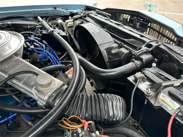 1979 Ford Thunderbird (CC-1756390) for sale in Addison, Illinois