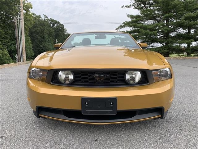 Sunset gold hot sale mustang