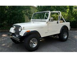 1983 Jeep CJ7 (CC-1757346) for sale in Cadillac, Michigan