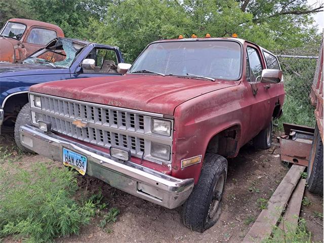 1985 Chevrolet Blazer (CC-1757616) for sale in Thief River Falls, MN, Minnesota