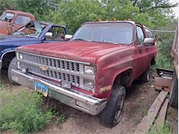 1985 Chevrolet Blazer (CC-1757616) for sale in Thief River Falls, MN, Minnesota