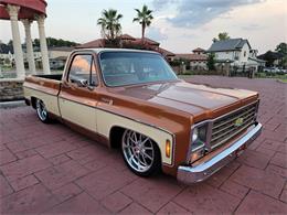 1979 Chevrolet C10 (CC-1757644) for sale in CONROE, Texas