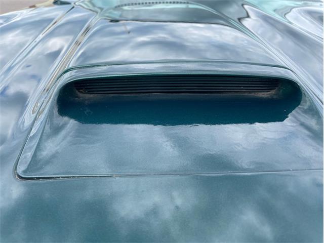 1976 Pontiac Firebird (CC-1757786) for sale in Ramsey, Minnesota