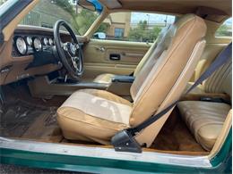1976 Pontiac Firebird (CC-1757786) for sale in Ramsey, Minnesota