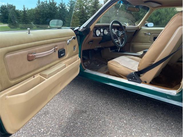 1976 Pontiac Firebird (CC-1757786) for sale in Ramsey, Minnesota