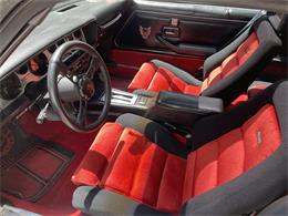 1981 Pontiac Firebird Trans Am SE (CC-1757793) for sale in Haverhill , Massachusetts