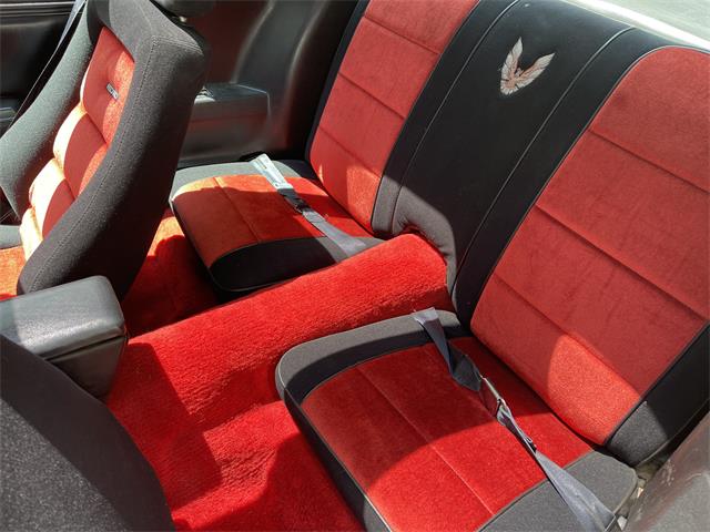1981 Pontiac Firebird Trans Am SE (CC-1757793) for sale in Haverhill , Massachusetts