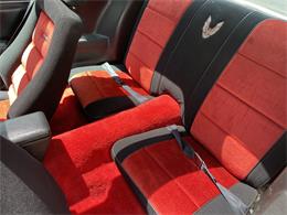 1981 Pontiac Firebird Trans Am SE (CC-1757793) for sale in Haverhill , Massachusetts