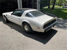1981 Pontiac Firebird Trans Am SE (CC-1757793) for sale in Haverhill , Massachusetts