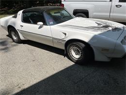 1981 Pontiac Firebird Trans Am SE (CC-1757793) for sale in Haverhill , Massachusetts