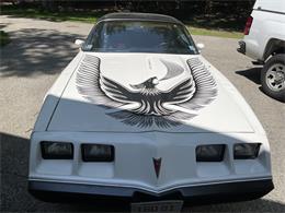 1981 Pontiac Firebird Trans Am SE (CC-1757793) for sale in Haverhill , Massachusetts