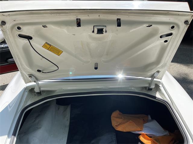 1981 Pontiac Firebird Trans Am SE (CC-1757793) for sale in Haverhill , Massachusetts