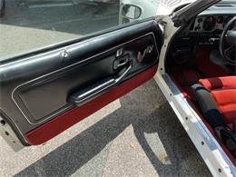 1981 Pontiac Firebird Trans Am SE (CC-1757793) for sale in Haverhill , Massachusetts