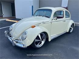 1969 Volkswagen Beetle (CC-1757898) for sale in miami, Florida