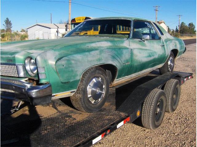 1973 Chevrolet Monte Carlo (CC-1758008) for sale in Cadillac, Michigan