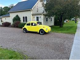 1972 Volkswagen Super Beetle (CC-1758060) for sale in Cadillac, Michigan