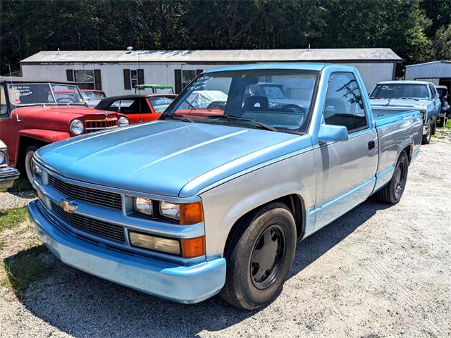 1989 Chevrolet 1/2-Ton Pickup (CC-1758183) for sale in Gray Court, South Carolina