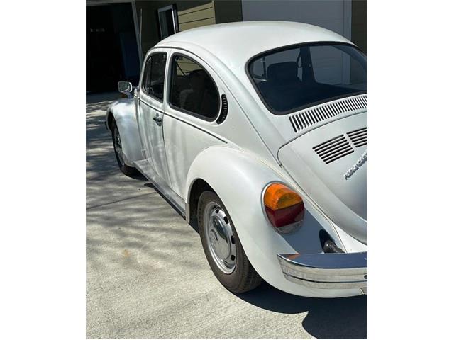1975 Volkswagen Beetle (CC-1758367) for sale in Billings, Montana