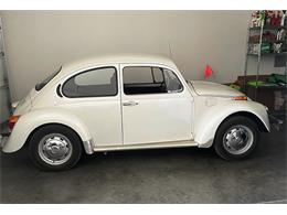 1975 Volkswagen Beetle (CC-1758367) for sale in Billings, Montana