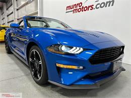 2021 Ford Mustang (CC-1758672) for sale in Brantford, Ontario