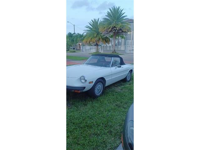 1978 Alfa Romeo Spider (CC-1758901) for sale in Cadillac, Michigan