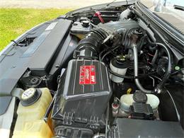 2004 Ford F150 (CC-1759046) for sale in Hilton, New York