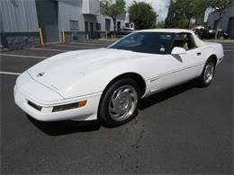 1996 Chevrolet Corvette (CC-1759144) for sale in Apopka, Florida