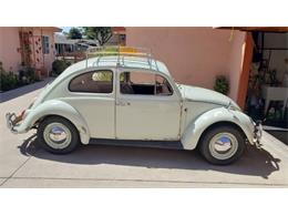 1962 Volkswagen Beetle (CC-1759570) for sale in Cadillac, Michigan