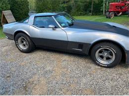 1981 Chevrolet Corvette (CC-1759601) for sale in Cadillac, Michigan