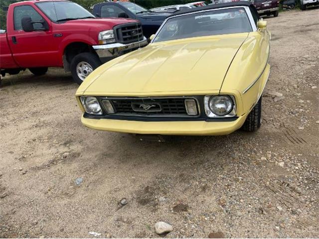 1973 Ford Mustang (CC-1759609) for sale in Cadillac, Michigan