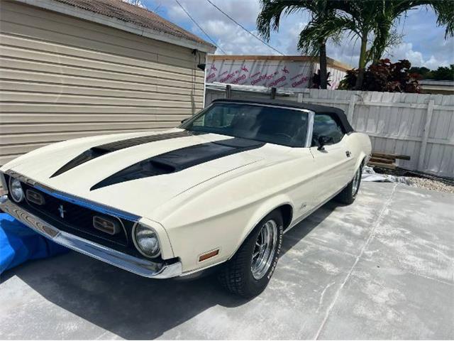 1972 Ford Mustang (CC-1759612) for sale in Cadillac, Michigan