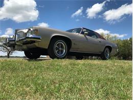 1973 Pontiac Grand Prix (CC-1759620) for sale in Fredericksburg, Texas