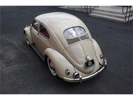 1953 Volkswagen Beetle (CC-1761400) for sale in Tucson, Arizona