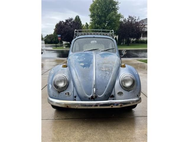 1966 Volkswagen Beetle (CC-1761499) for sale in Cadillac, Michigan