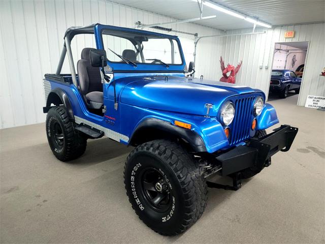 1981 Jeep CJ5 (CC-1762004) for sale in Nashville, Illinois