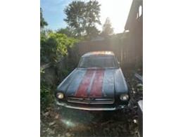 1966 Ford Mustang (CC-1762291) for sale in Cadillac, Michigan