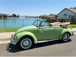 1966 Volkswagen Beetle (CC-1762298) for sale in Cadillac, Michigan