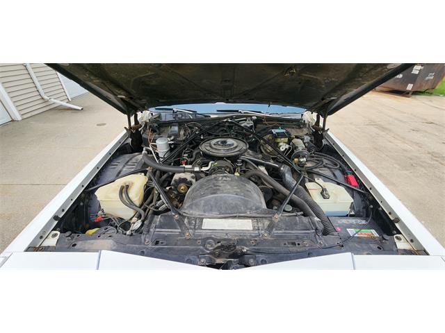 1983 Cadillac Fleetwood Brougham (CC-1762364) for sale in Belle Plaine, Minnesota, Minnesota