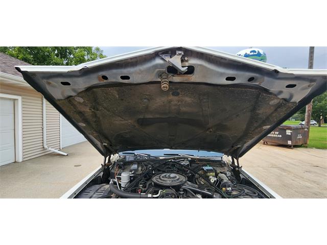 1983 Cadillac Fleetwood Brougham (CC-1762364) for sale in Belle Plaine, Minnesota, Minnesota