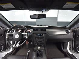 2010 Ford Mustang (CC-1762795) for sale in Saint Cloud, Minnesota