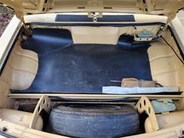 1977 Volkswagen Brasilia (CC-1763609) for sale in Saint Johns, Florida