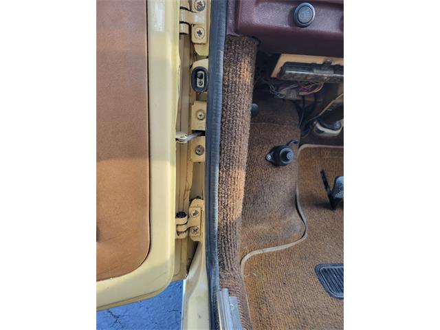 1977 Volkswagen Brasilia (CC-1763609) for sale in Saint Johns, Florida