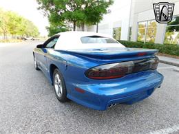 1997 Pontiac Firebird Trans Am (CC-1763893) for sale in O'Fallon, Illinois