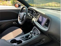 2022 Dodge Challenger (CC-1763908) for sale in Springfield, Massachusetts