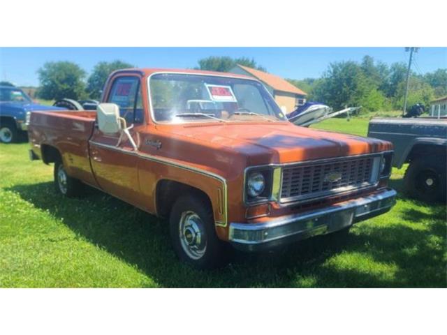 1974 Chevrolet C10 (CC-1760411) for sale in Cadillac, Michigan